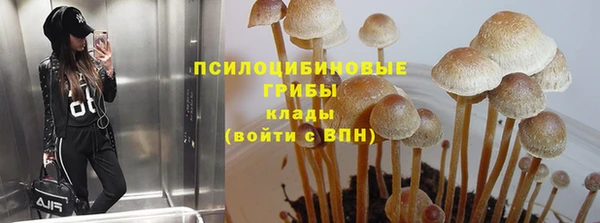молекула духа Богородицк