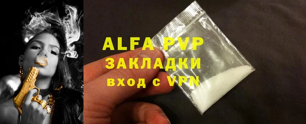 молекула духа Богородицк