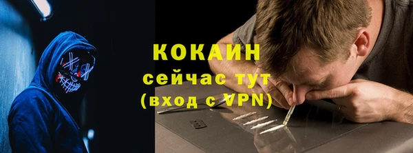 молекула духа Богородицк