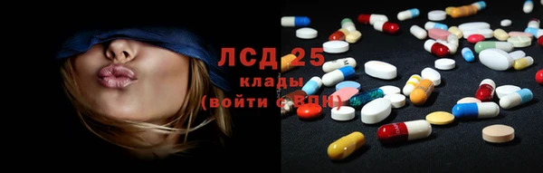 молекула духа Богородицк