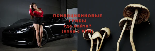 молекула духа Богородицк