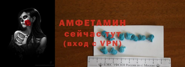 молекула духа Богородицк