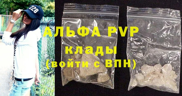 молекула духа Богородицк