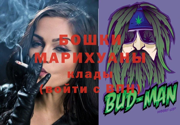 молекула духа Богородицк