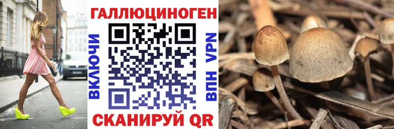 Псилоцибиновые грибы Psilocybine cubensis  где купить наркоту  мориарти какой сайт  Серафимович 